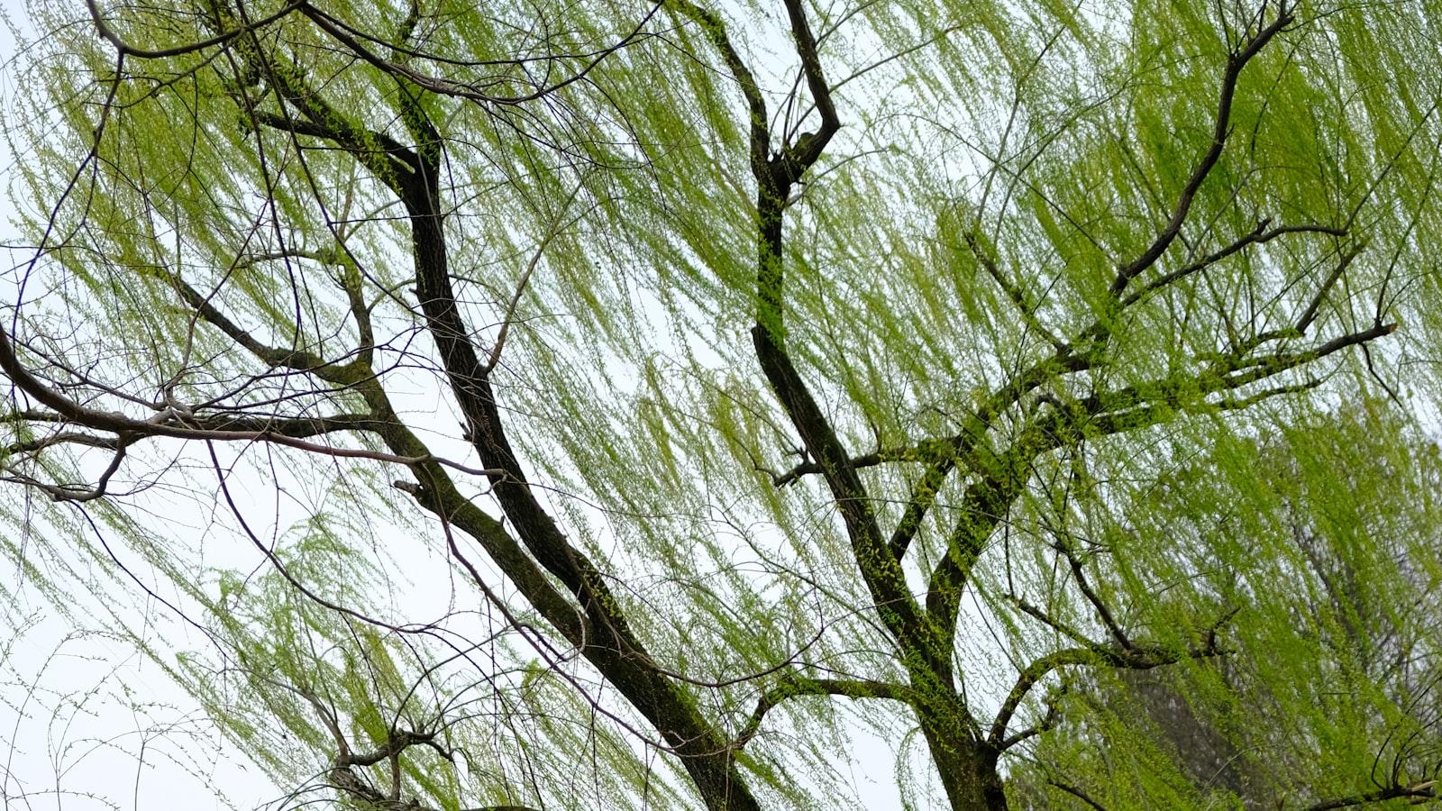 常州外贸网站建设知多少？
