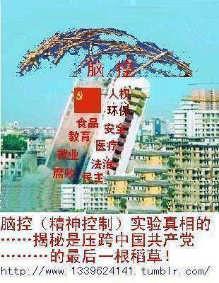 揭秘WordPress：打造你的网站建设成功之路