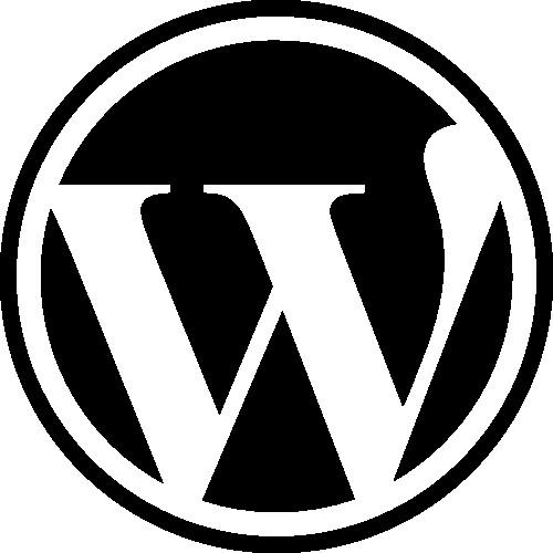 打造迷人网站：WordPress网站建设指南